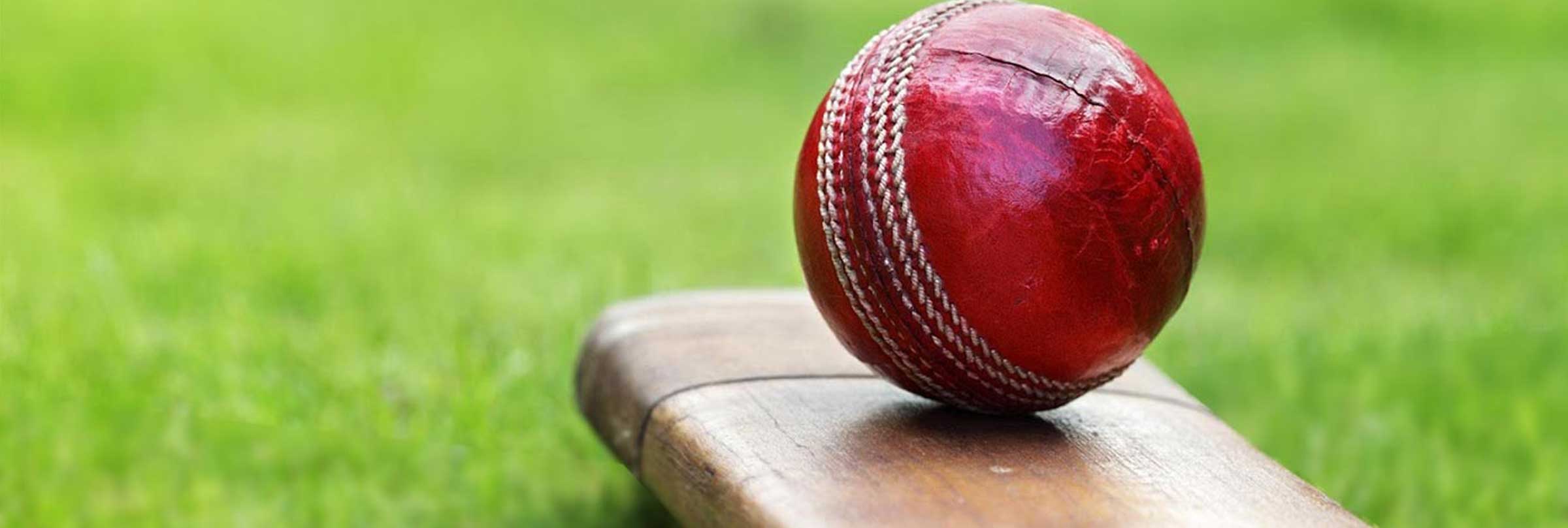 Cricket Ball and Bat on Synthetic Cricket Pitch